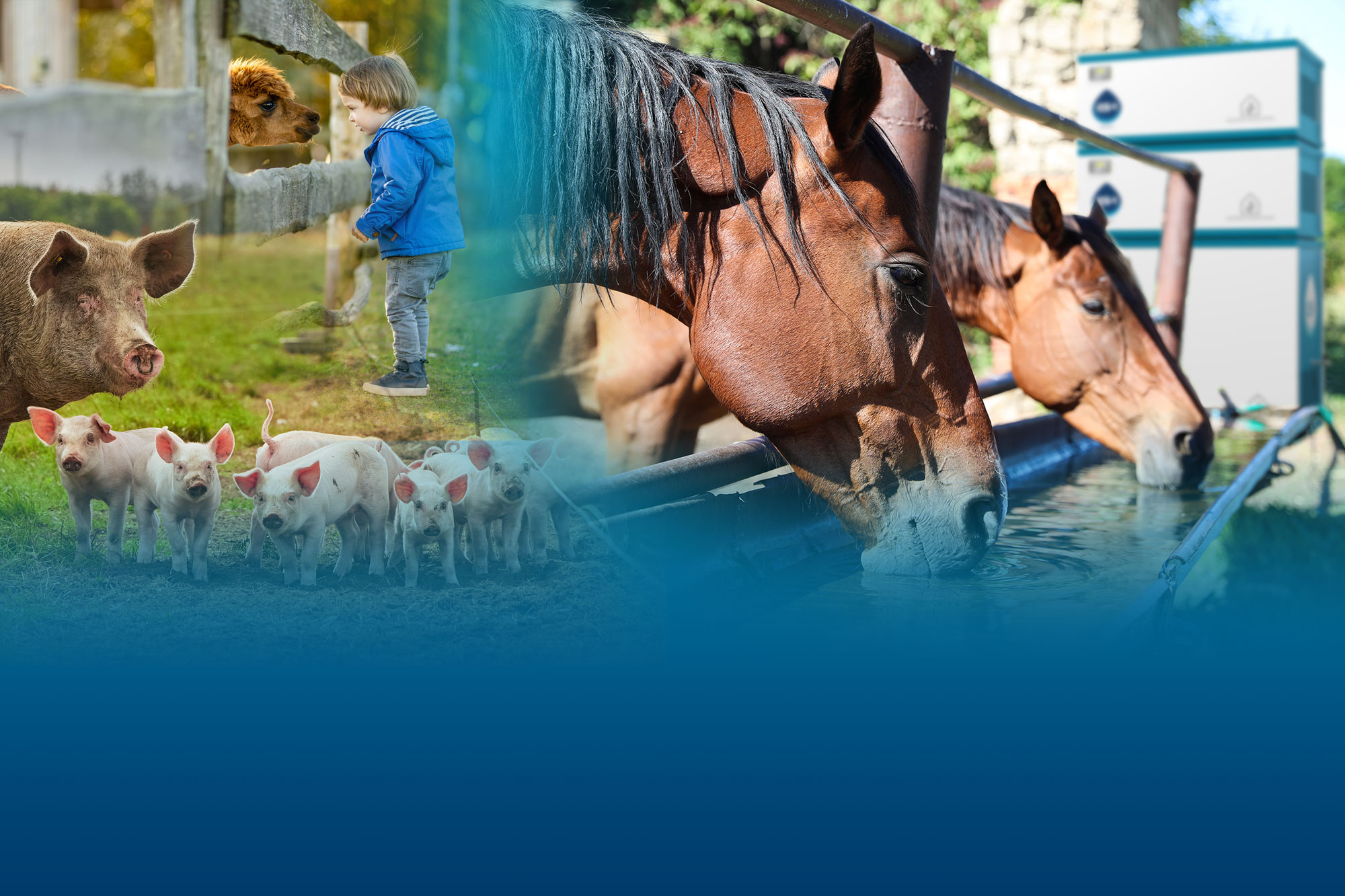 Livestock water for working ranches